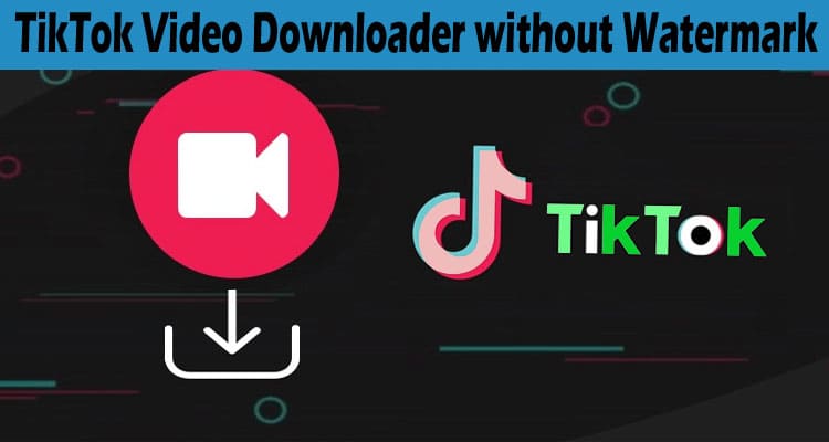Complete Information About TikTok Video Downloader without Watermark